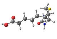 Pantothenic Acid (Vitamin B5)